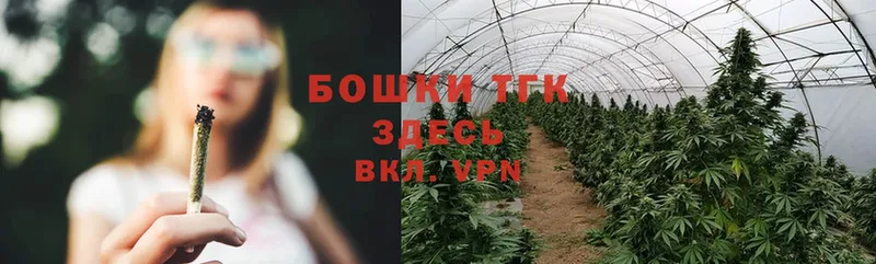 Конопля SATIVA & INDICA  Шлиссельбург 